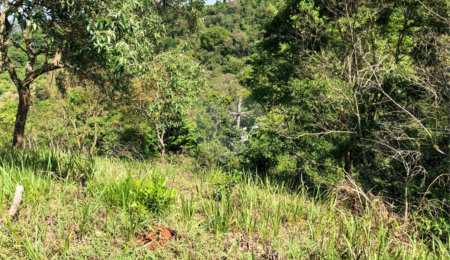 Terreno à venda em Bairro do Cambará, São Roque, SP