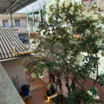 Casa Térrea à venda com 4 quartos em Vila Ernesto, São Paulo, SP