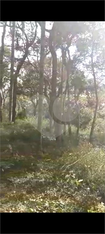 Terreno à venda em Luiz Fagundes, Mairiporã, SP