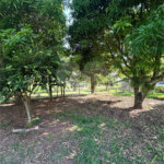 Chácara à venda em Jardim Universitário, Ponta Porã, MS
