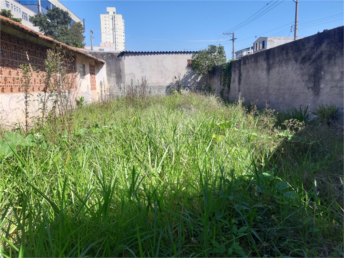 Terreno à venda com 1 quarto em Vila Gustavo, São Paulo, SP
