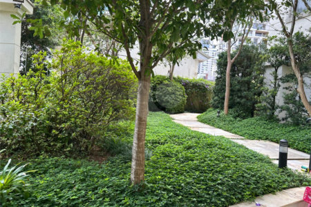 Apartamento para alugar com 3 quartos, sendo 1 suíte, em Pinheiros, São Paulo, SP