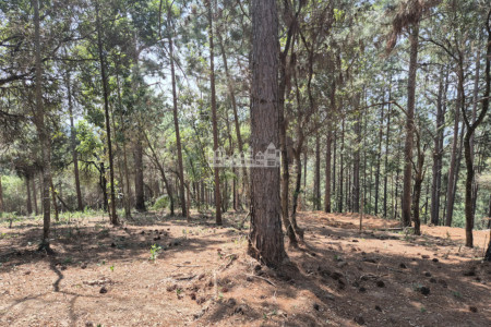 Condomínio de Chácaras Fazenda Elisa – Atibaia