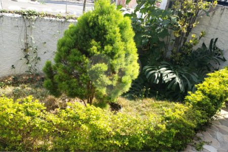 Casa à venda com 3 quartos, sendo 2 suítes,  em Parque Jabaquara, São Paulo, SP