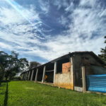 Sítio à venda com 3 quartos em Campo de Boituva, Boituva, SP