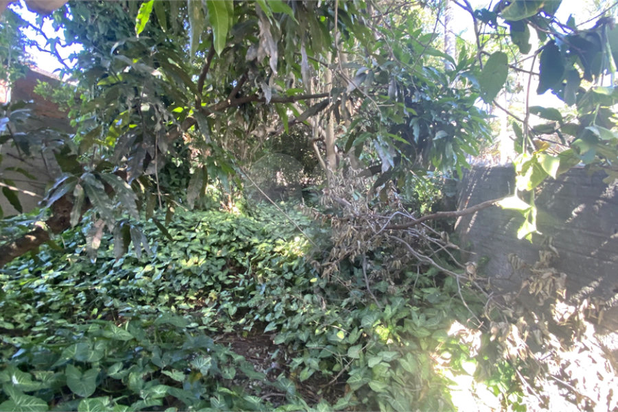 Terreno à venda em Vila Aurora (zona Norte), São Paulo, SP
