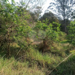 Terreno à venda em Bosque dos Eucalíptos, Atibaia, SP