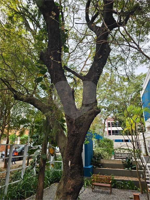 Apartamento à venda com 2 quartos, sendo 1 suíte, em Chácara Santo Antônio (zona Sul), São Paulo, SP