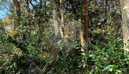 Terreno à venda em Remédios, Mairiporã, SP