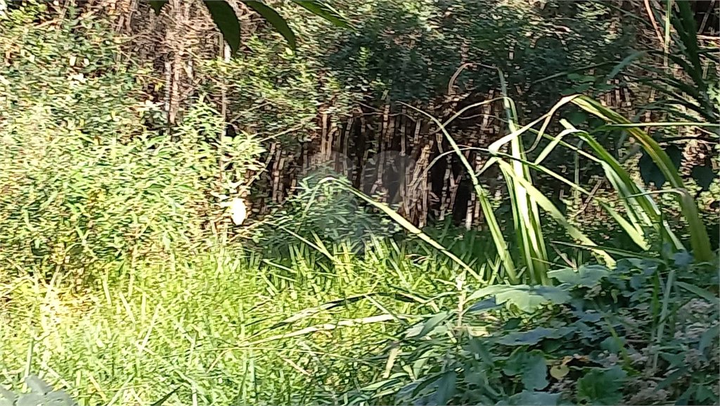 Terreno à venda em Vila Tramontano, São Paulo, SP