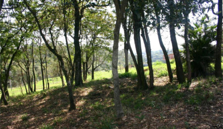 Terreno à venda em Pomar São Jorge, Itatiba, SP