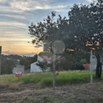 Terreno à venda em Chácaras São Bento, Valinhos, SP