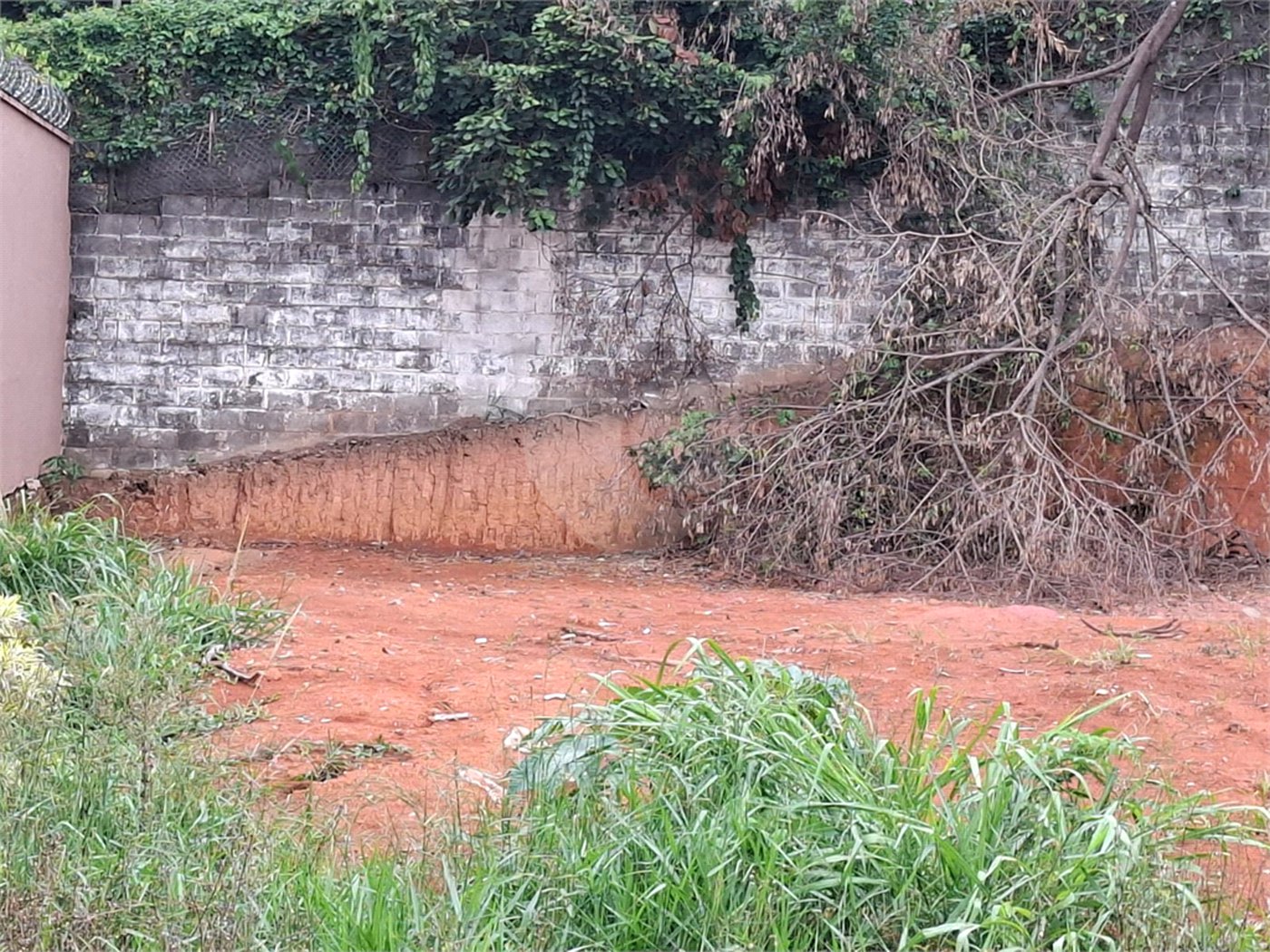 Terreno à venda em Vila Albertina, São Paulo, SP