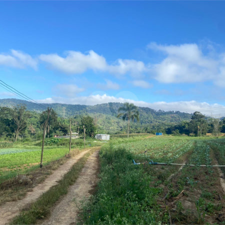 Terreno à venda em Parque Santa Rosa, Suzano, SP