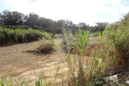 Terreno à venda ou para alugar em Cachoeira, Vinhedo, SP