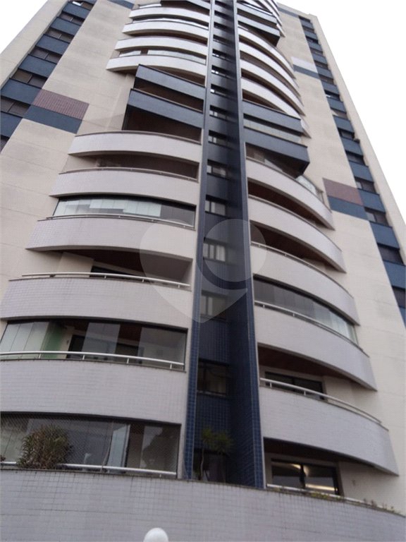 Apartamento à venda com 3 quartos, sendo 1 suíte, em Vila Albertina, São Paulo, SP