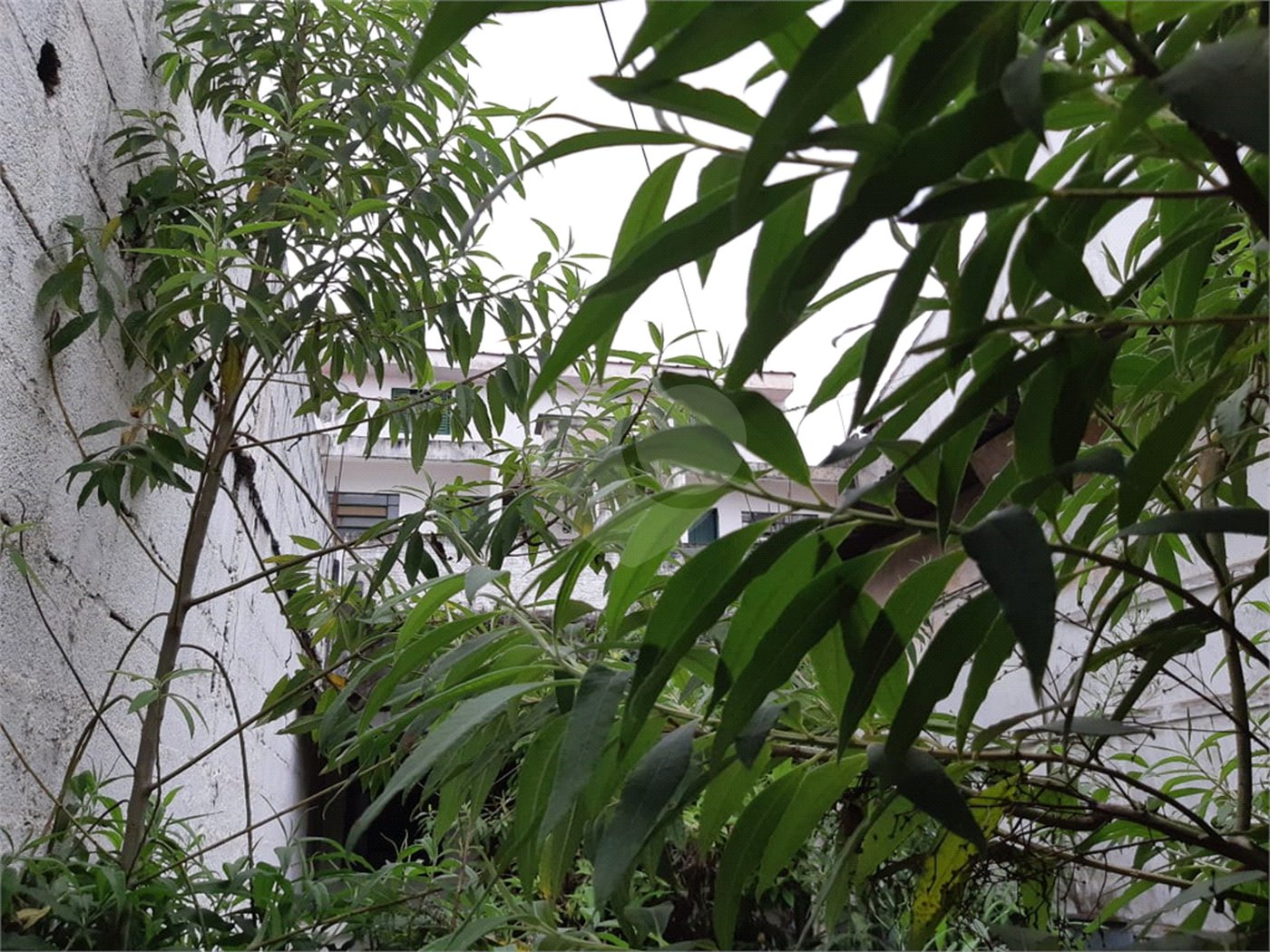Terreno à venda em Horto Florestal, São Paulo, SP