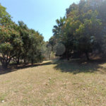 Casa para alugar com 3 quartos, sendo 1 suíte,  em Esplanada Mendes Moraes, São Roque, SP