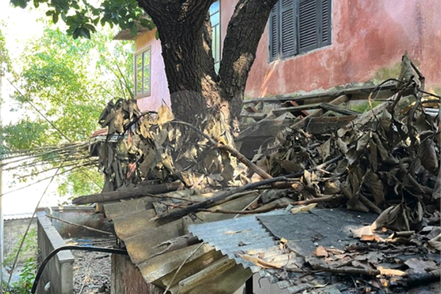 Terreno à venda com 1 quarto no Brasilândia, São Paulo, SP