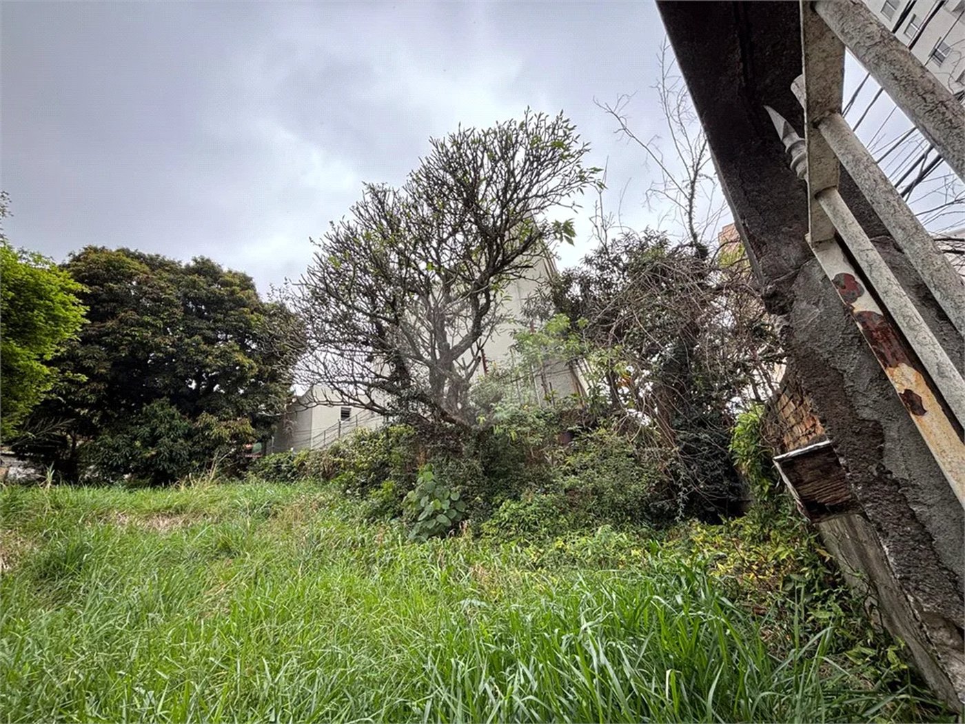 Terreno à venda em Santa Teresinha, São Paulo, SP