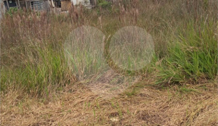 Terreno à venda em Conjunto Residencial Santo Ângelo, Mogi das Cruzes, SP