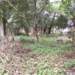 Terreno à venda em Alto da Boa Vista, São Paulo, SP