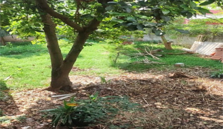 Terreno à venda em Vila Nova Mazzei, São Paulo, SP