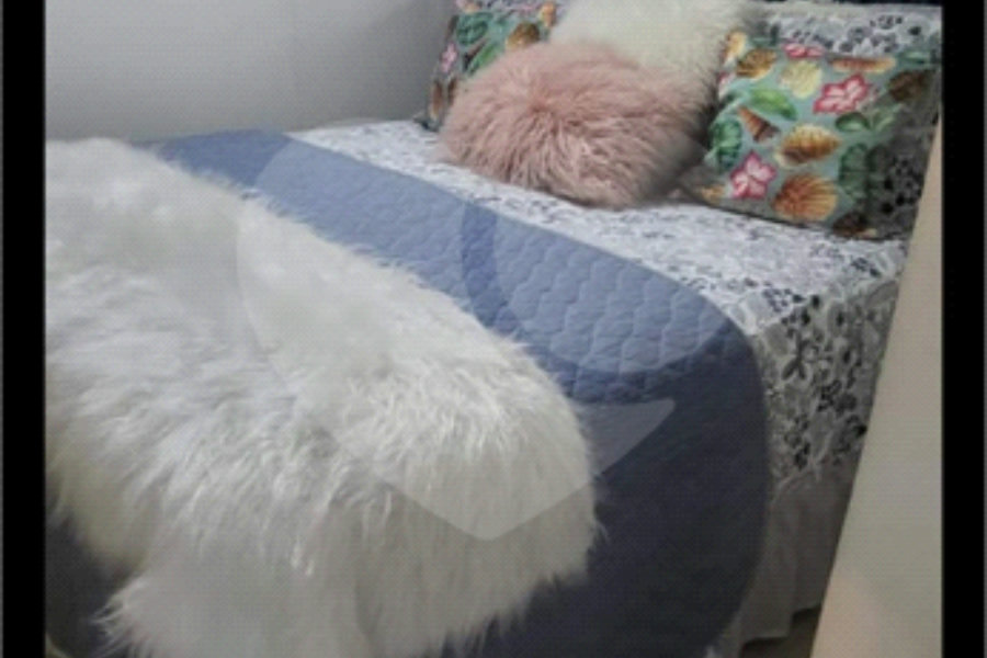 Casa Térrea à venda com 7 quartos, sendo 1 suíte, em Vila Paulicéia, São Paulo, SP