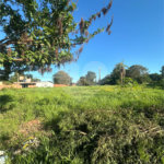 Terreno à venda em Pedro Juan Caballero, Amambay