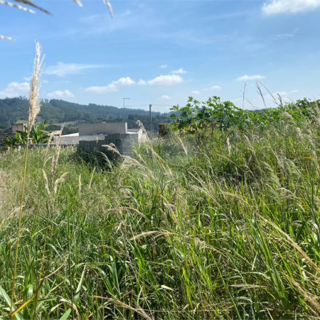 Terreno à venda em Vila Santa Helena, Atibaia, SP