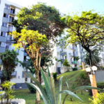 Apartamento à venda com 2 quartos em Jardim Santa Mônica, São Paulo, SP