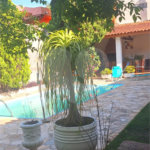 Casa à venda com 3 quartos, sendo 1 suíte, em Alpes D'ouro, Bom Jesus dos Perdões, SP