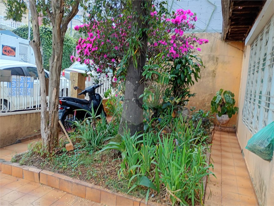 Casa Térrea à venda com 3 quartos em Vila Pereira Barreto, São Paulo, SP