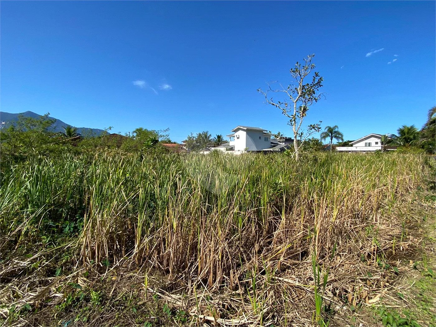 Terreno à venda em Morada da Praia, Bertioga, SP