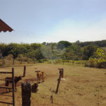 Excelente sítio de 27 alqueires, ótima localização em São Carlos.