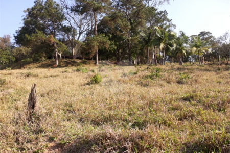 Sítio à venda com 3 quartos em Bairro do Cambará, São Roque, SP