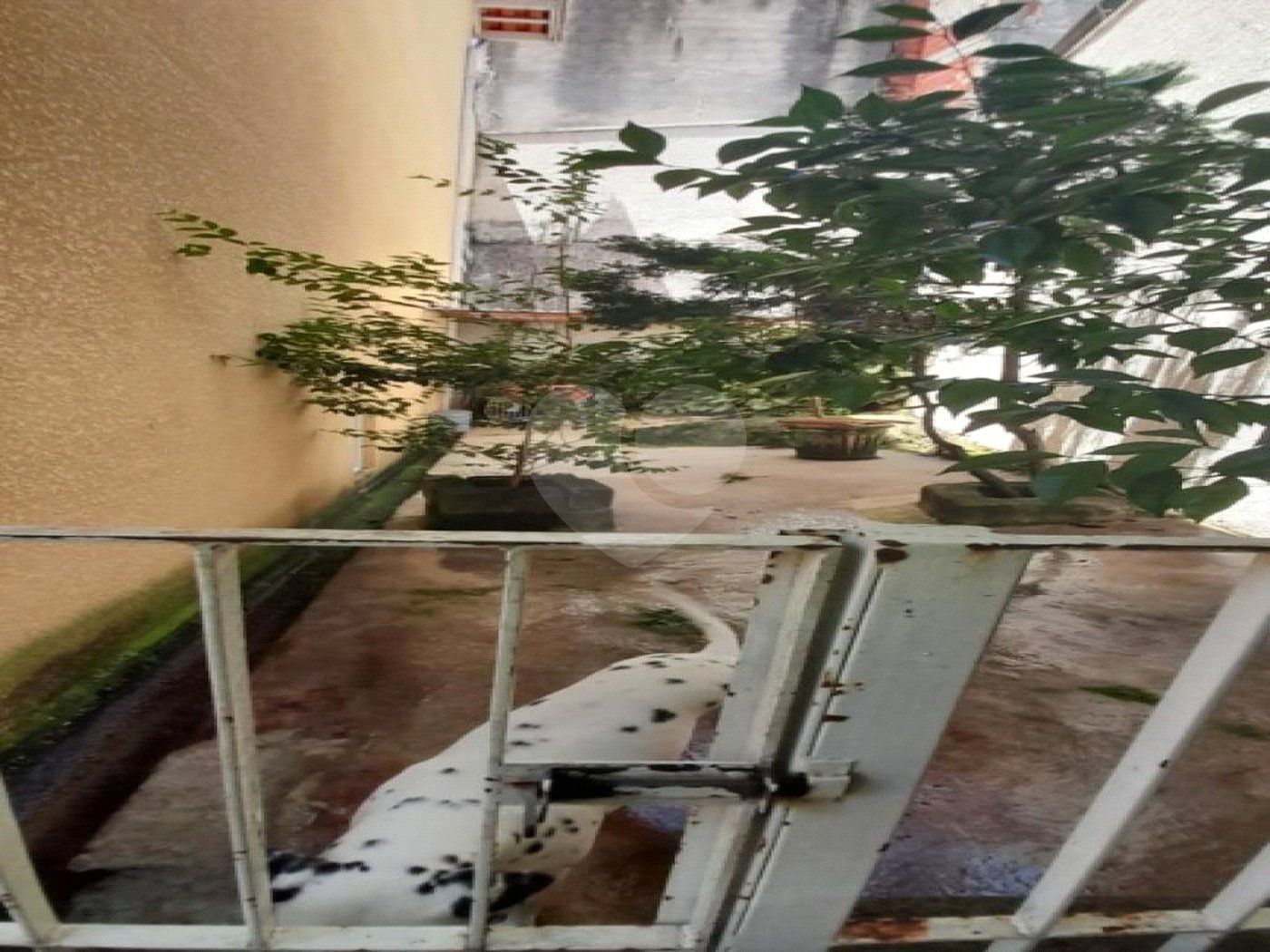 Casa à venda com 2 quartos no condomínio Classic Residence, São Paulo - SP