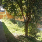Casa à venda com 1 quarto em Parque Mandaqui, São Paulo, SP