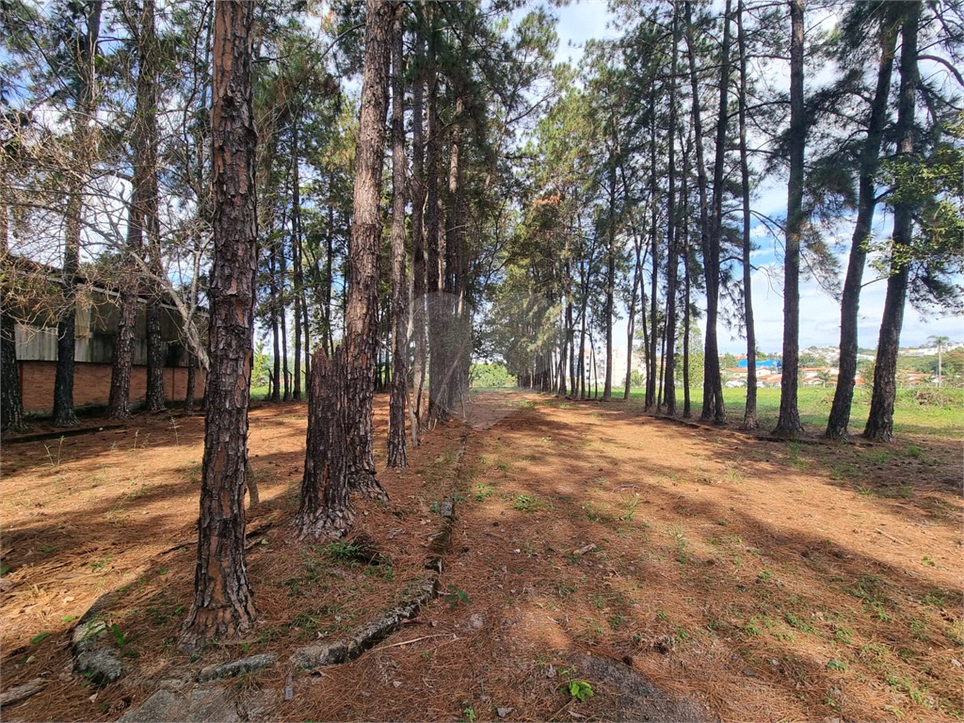 Galpão para alugar em Santa Rosa, Vinhedo, SP