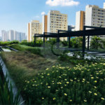 Apartamento à venda com 1 suíte em Chácara Santo Antônio, São Paulo, SP
