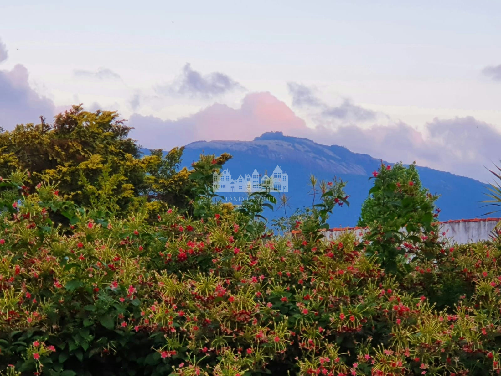 Casa, 3 quartos, 250 m² - Foto 21