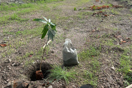 Terreno à venda em Nossa Senhora da Guia, Cuiabá, MT