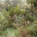Terreno à venda no condomínio Sausalito, Mairiporã - SP