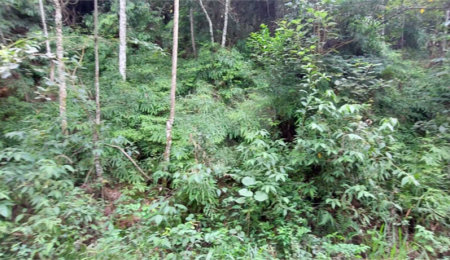 Terreno à venda no condomínio Sausalito, Mairiporã - SP