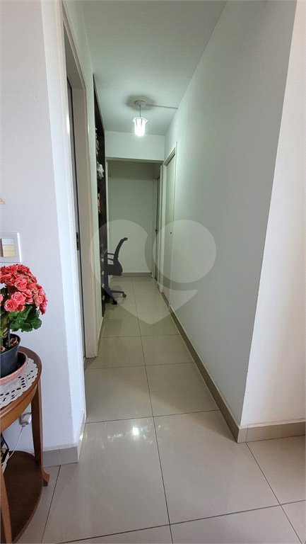 Apartamento à venda com 3 quartos, sendo 1 suíte, em Jaçanã, São Paulo, SP