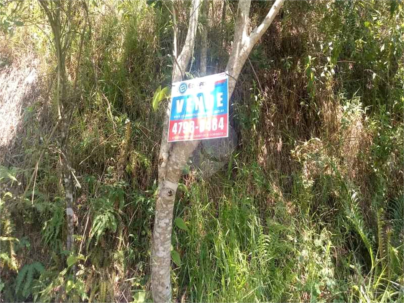 Terreno à venda em Vila São Paulo, Mogi das Cruzes, SP