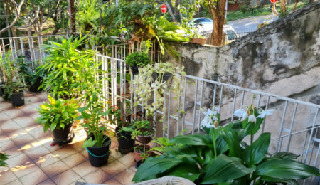 Casa à venda com 3 quartos em Jardim Bonfiglioli, São Paulo, SP