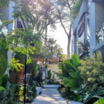 Casa à venda com 3 suítes no condomínio Casa Jardim Campo Belo, São Paulo - SP