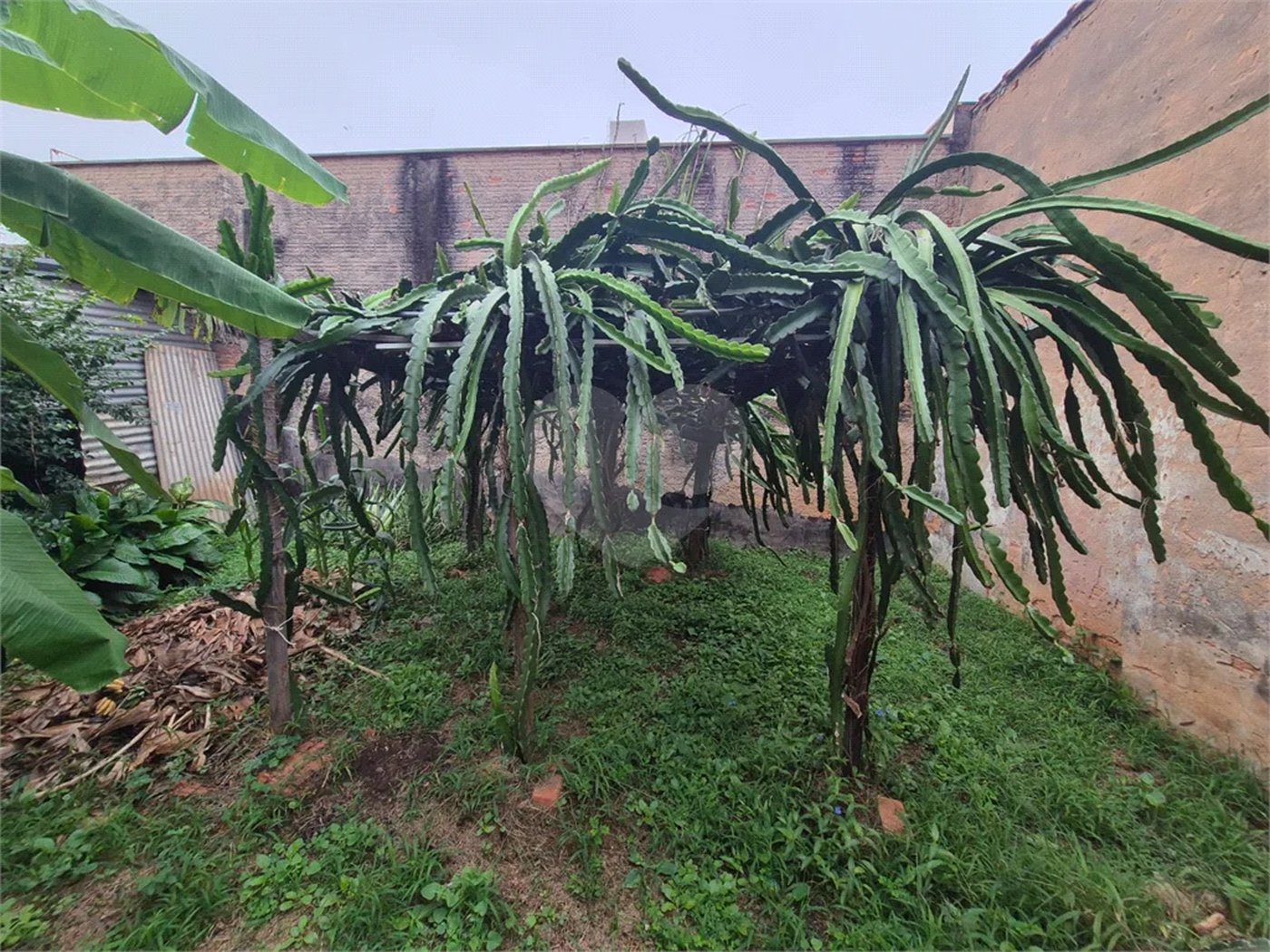 Casa térrea à venda no bairro Vila Monteiro — espaço, conforto e excelente localização em uma das regiões mais tradicionais de Piracicaba.