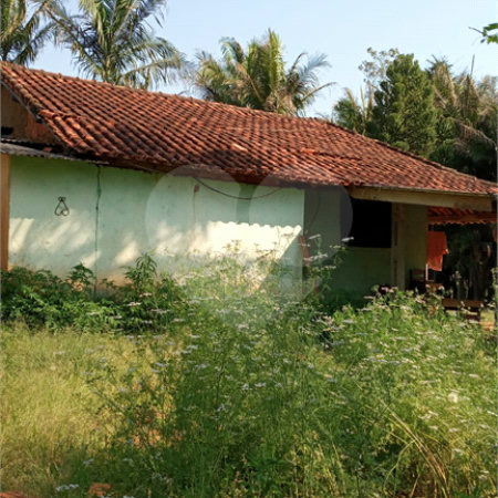 Ribeirão Grande - Bairro ferreira dos Matos - Sítio de 30.000 metros - R$ 600.000,00